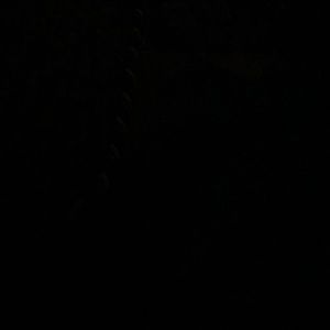 Meet your Posher, Jasen